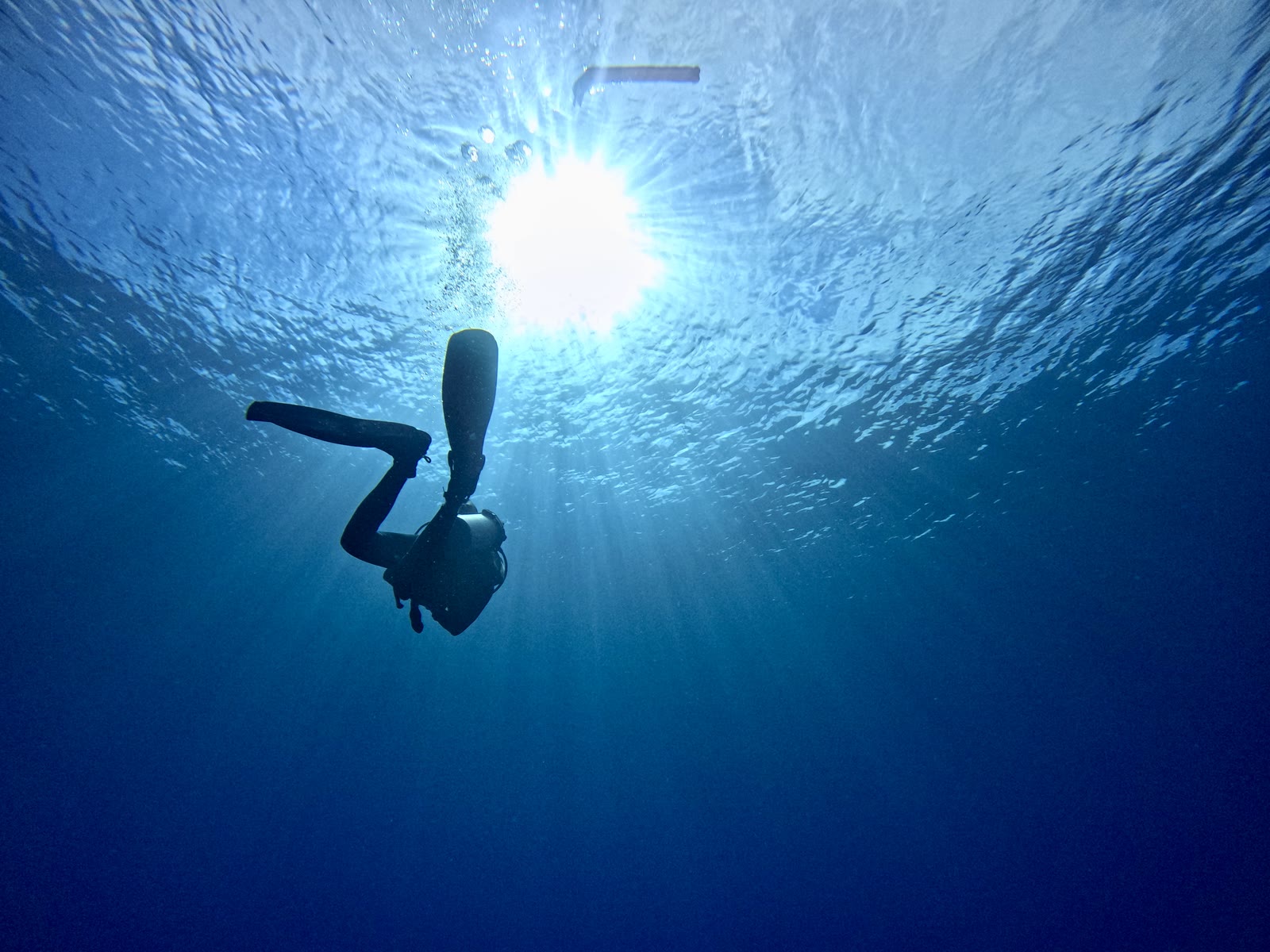 Gordo Banks, Sea of Cortez