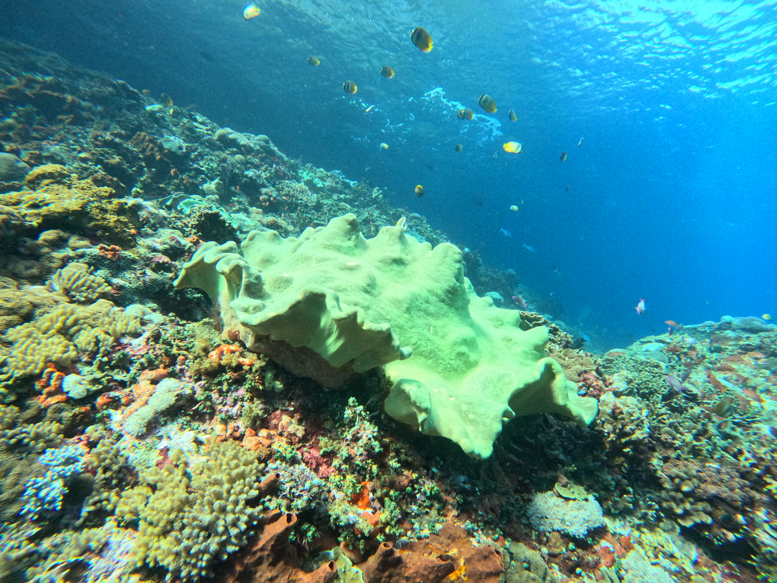 Nusa Penida, Indonesia