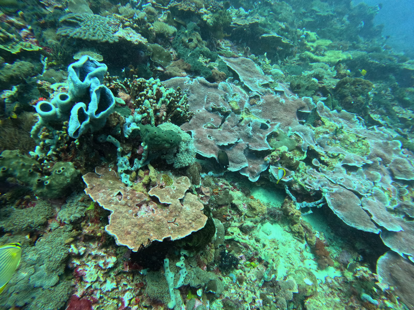 Nusa Penida, Indonesia