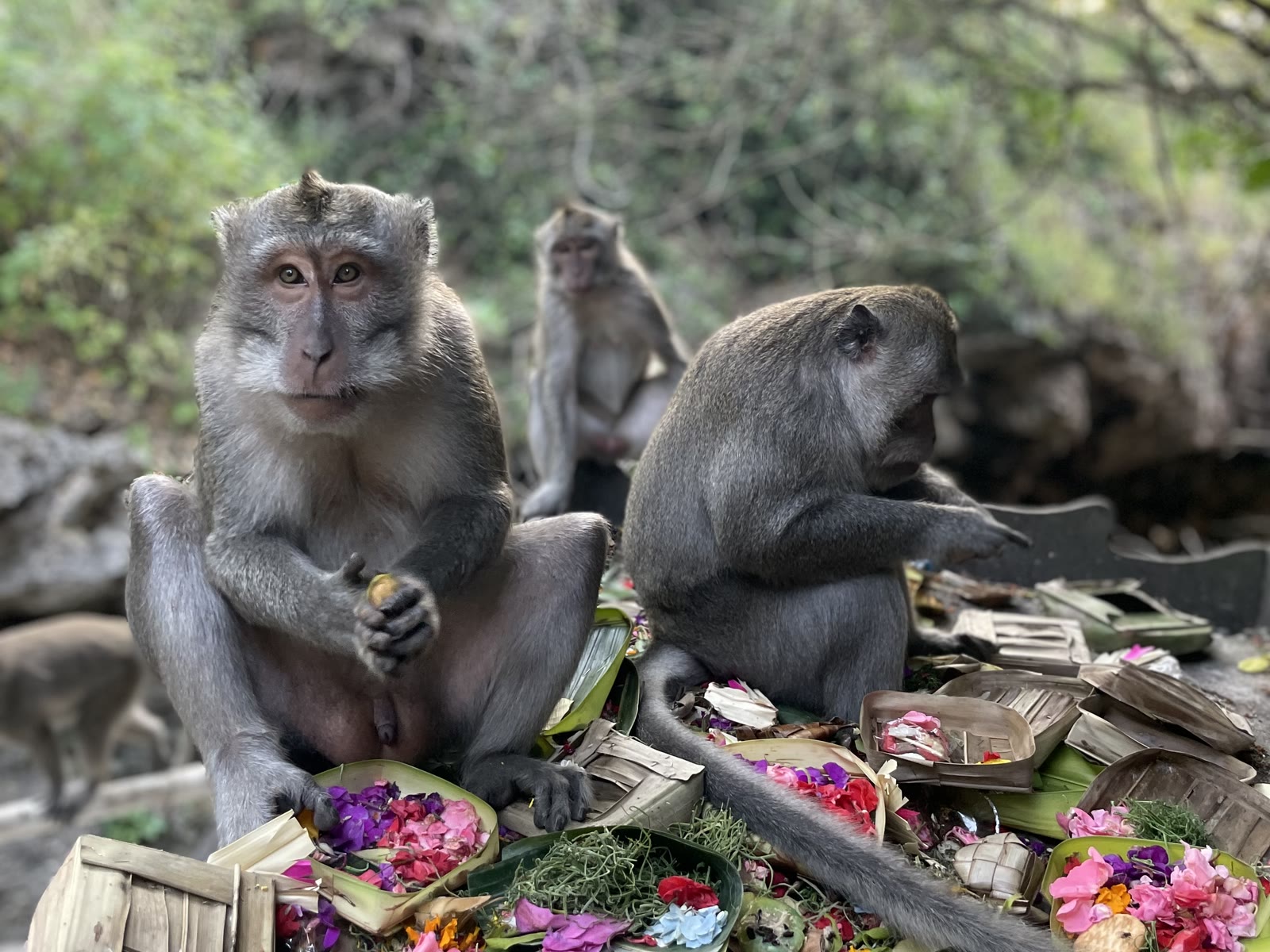 Uluwatu, Bali, Indonesia