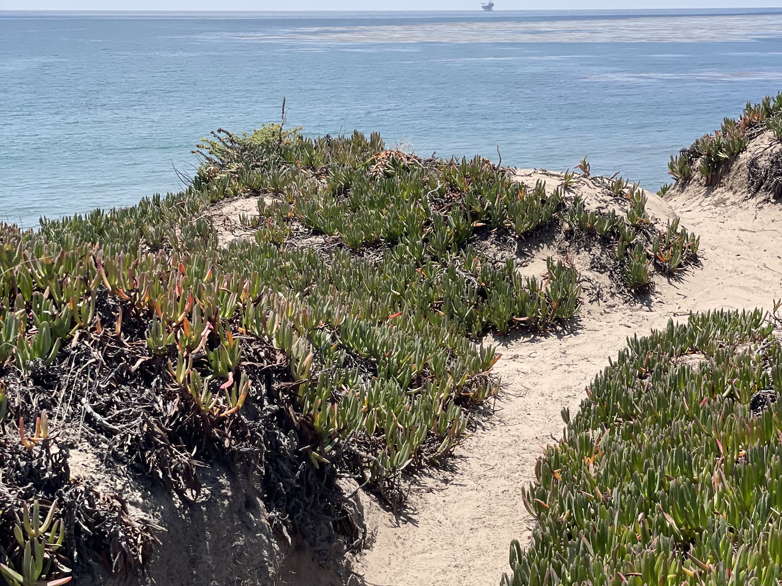 Santa Barbara