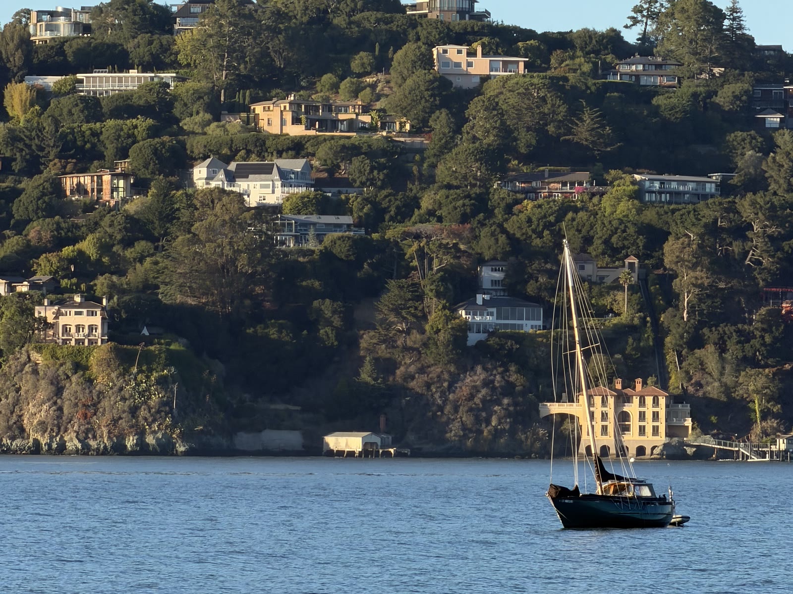 Tiburon