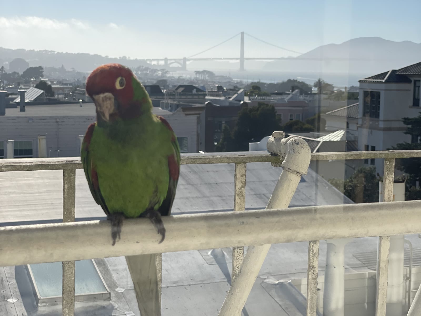 Russian Hill