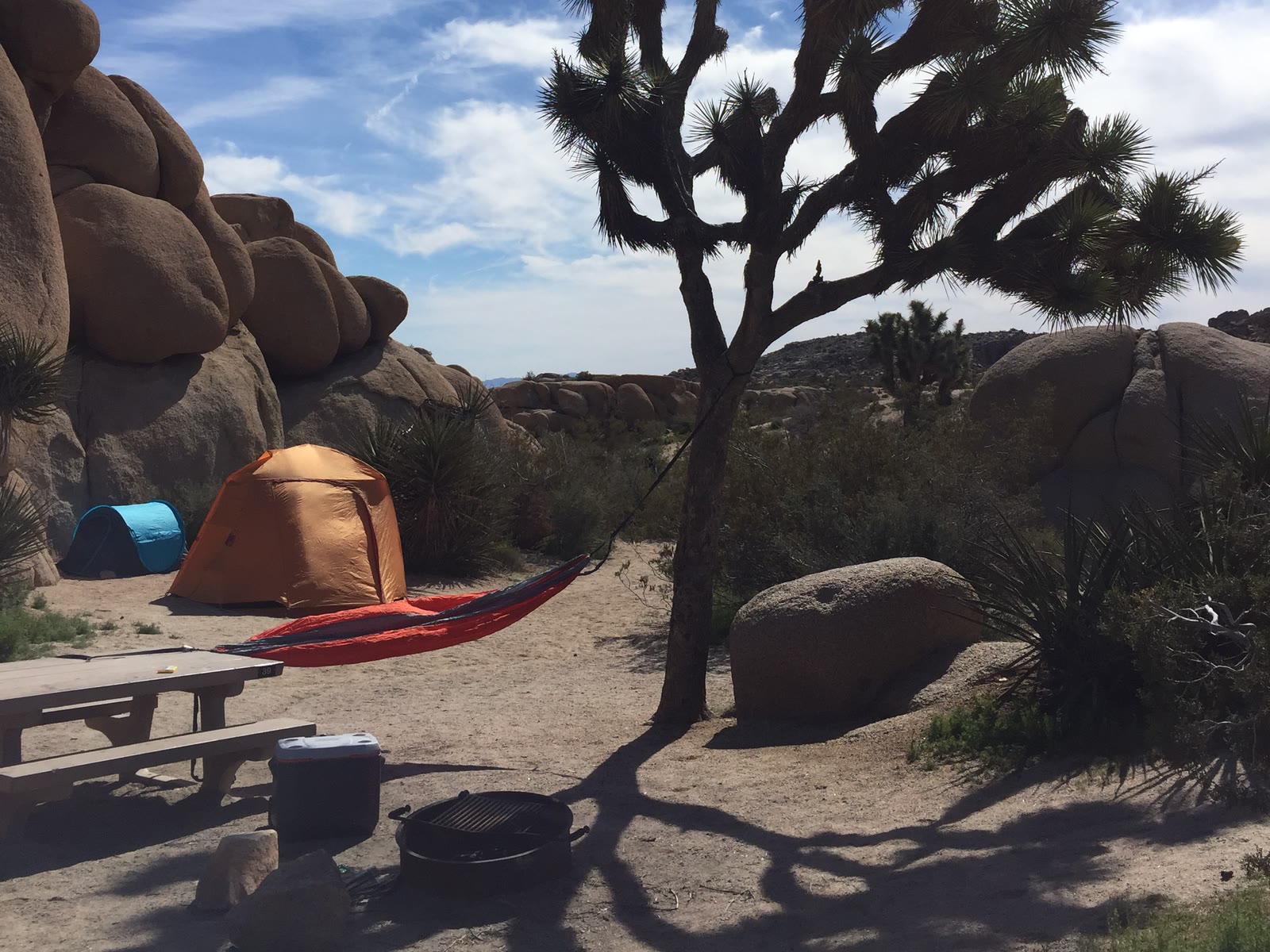 Joshua Tree, California